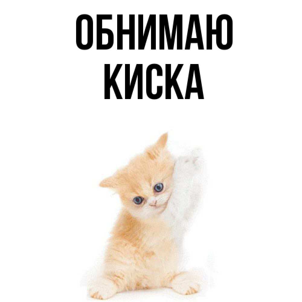 Открытка  с именем. Киска, Обнимаю  