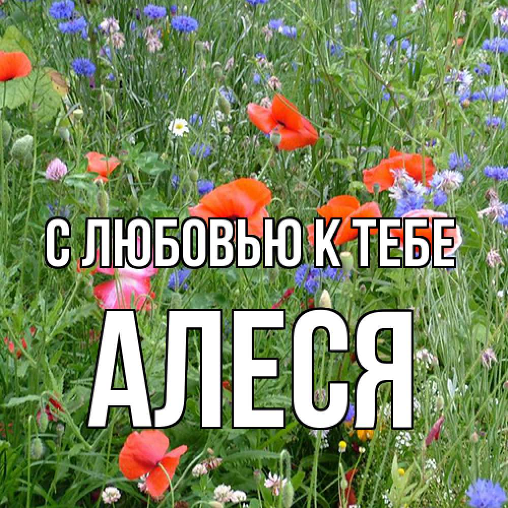 Открытка  с именем. Алеся, С любовью к тебе  