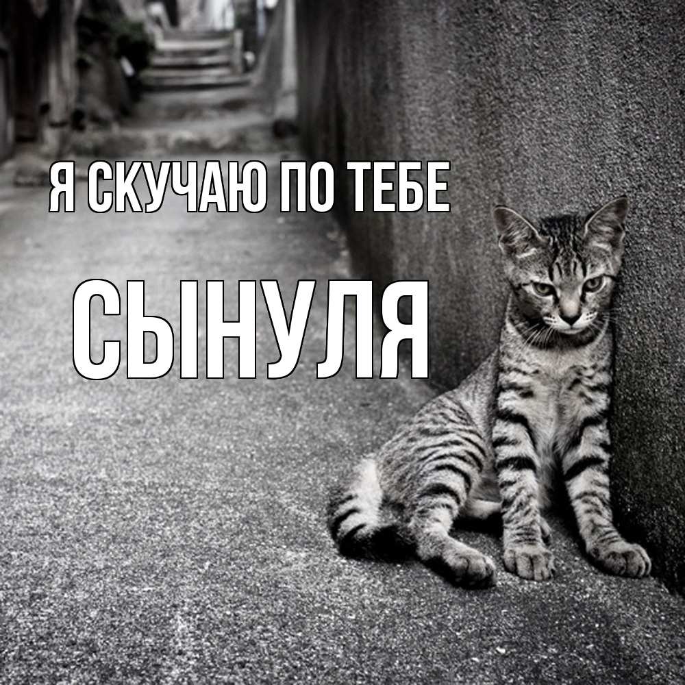 Открытка  с именем. Сынуля, Я скучаю по тебе  