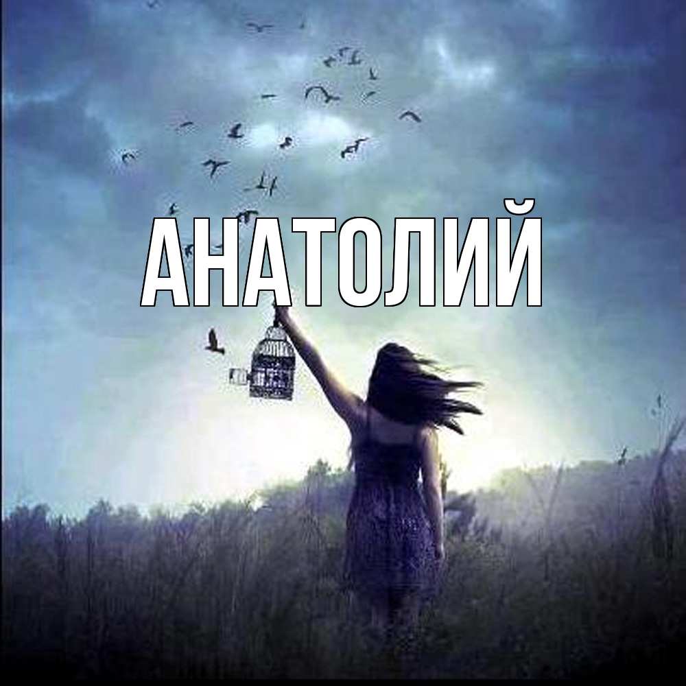 Открытка  с именем. Анатолий, Главная  