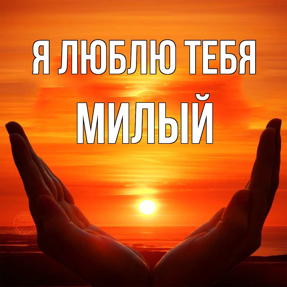 Открытка  с именем. Милый, Я люблю тебя  
