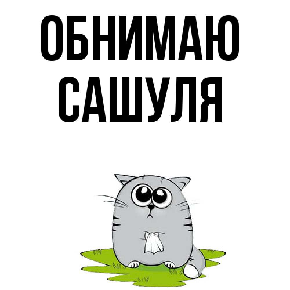 Открытка  с именем. Сашуля, Обнимаю  