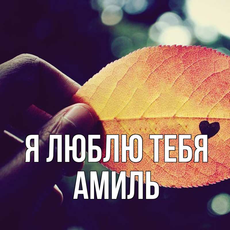 Картинка Я люблю тебя, Амиль