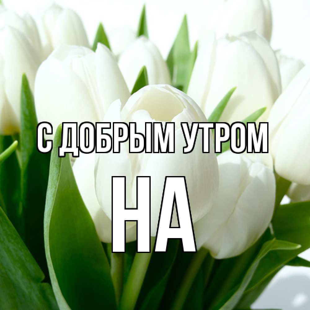 Открытка  с именем. на, С добрым утром  