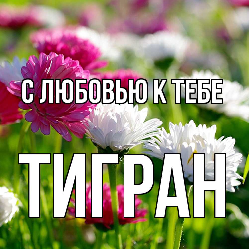 Открытка  с именем. Тигран, С любовью к тебе  
