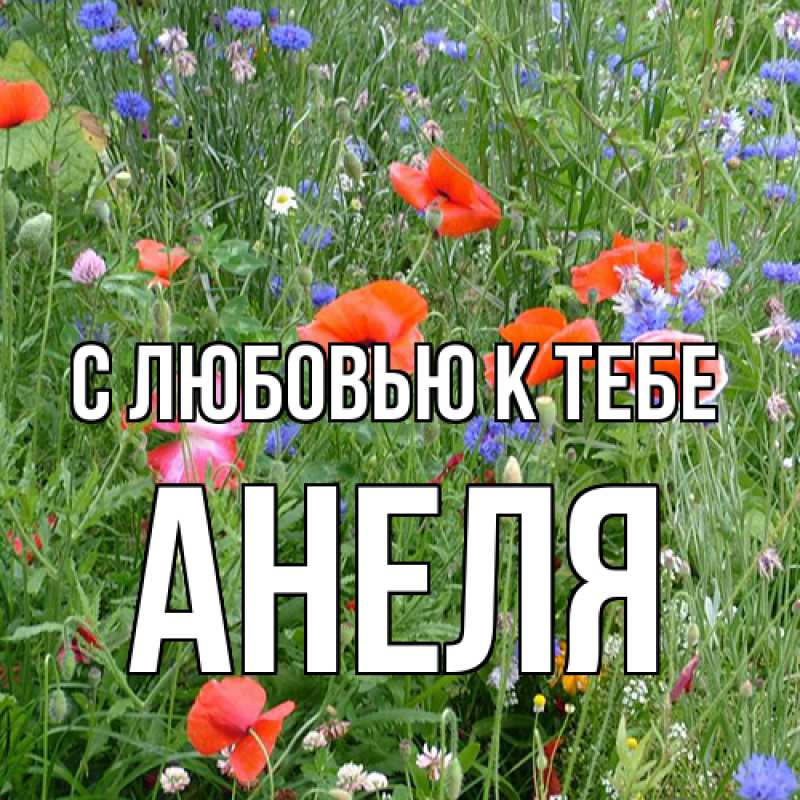 Картинка С любовью к тебе, Анеля