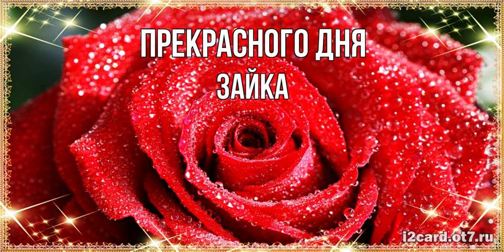 Открытка  с именем. Зайка, Прекрасного дня  