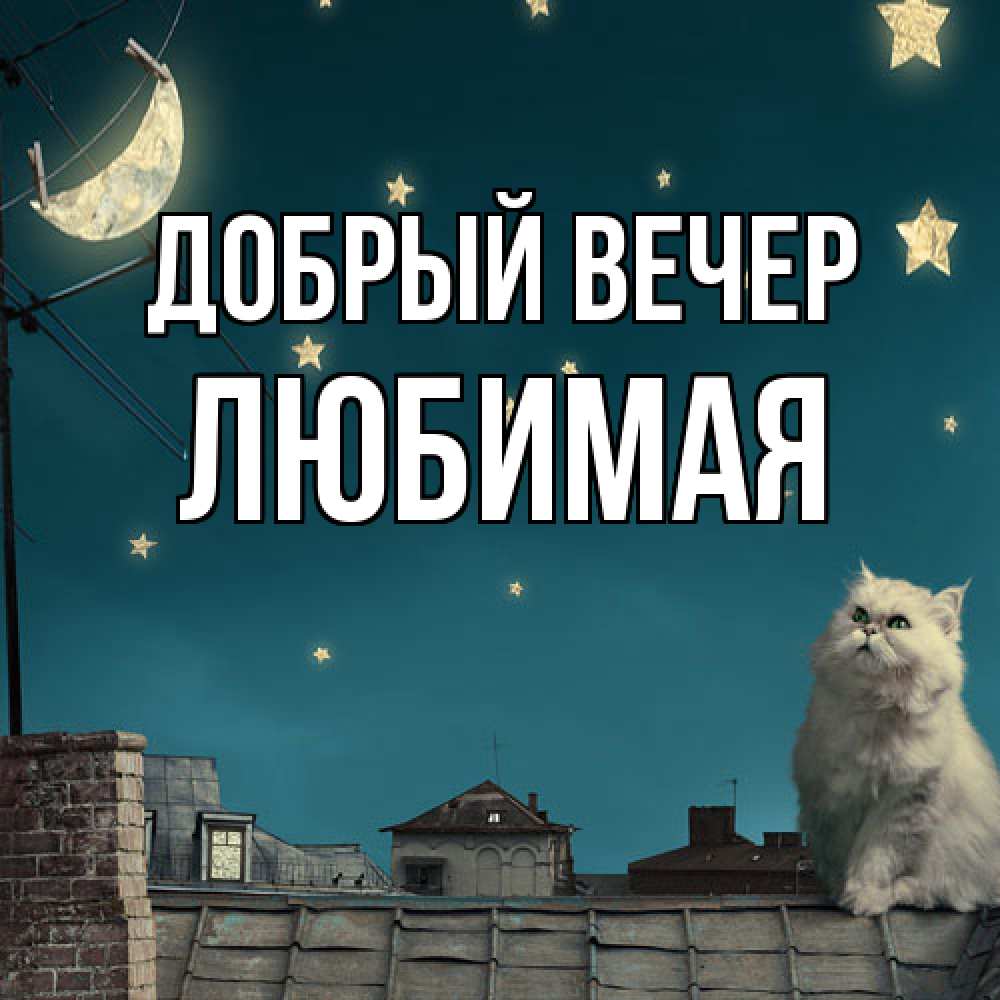 Открытка  с именем. Любимая, Добрый вечер  