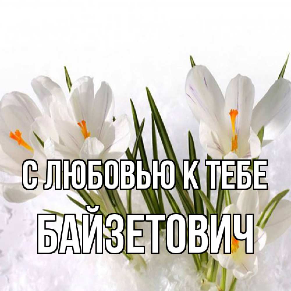 Открытка  с именем. Байзетович, С любовью к тебе  