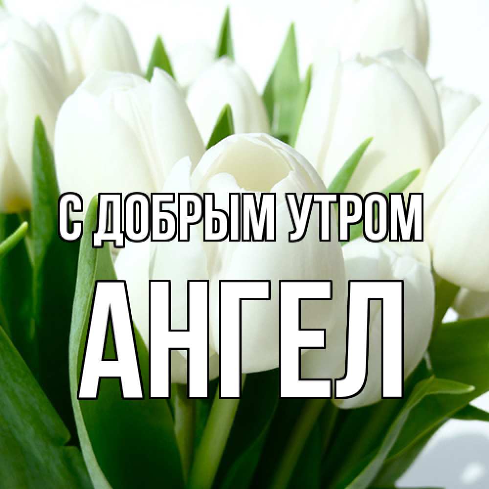 Открытка  с именем. Ангел, С добрым утром  