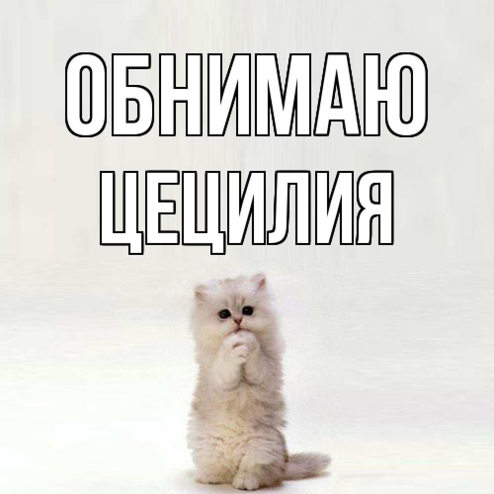 Открытка  с именем. Цецилия, Обнимаю  