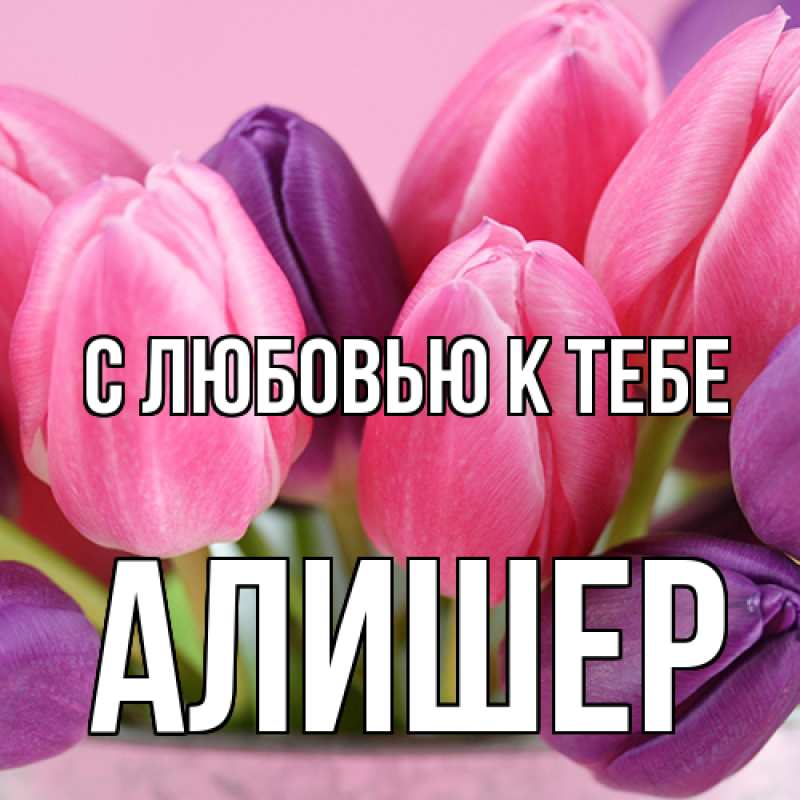 Картинка С любовью к тебе, Алишер