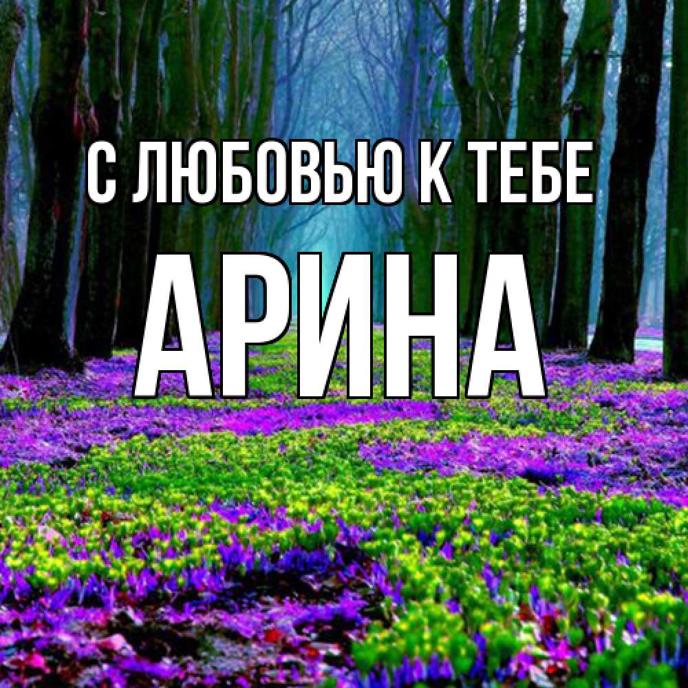 Открытка  с именем. Арина, С любовью к тебе  