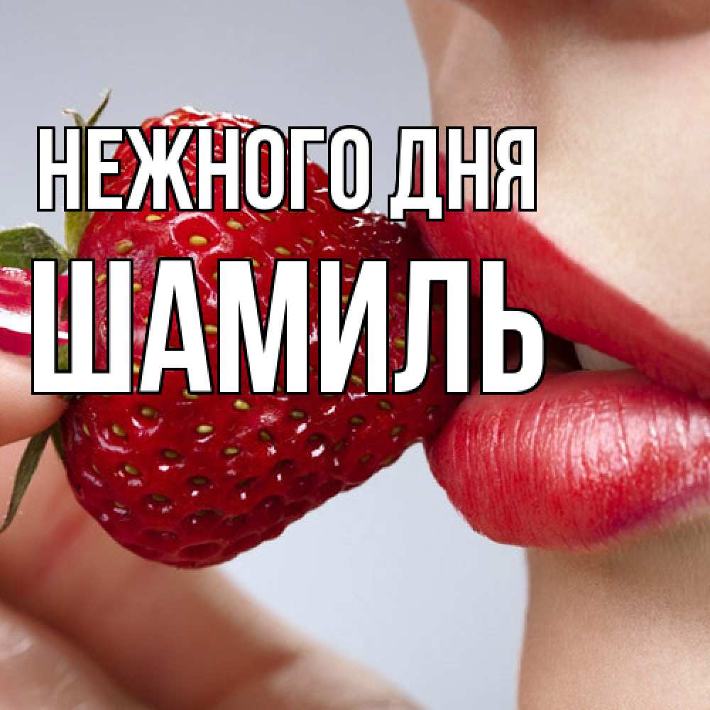 Открытка  с именем. Шамиль, Нежного дня  