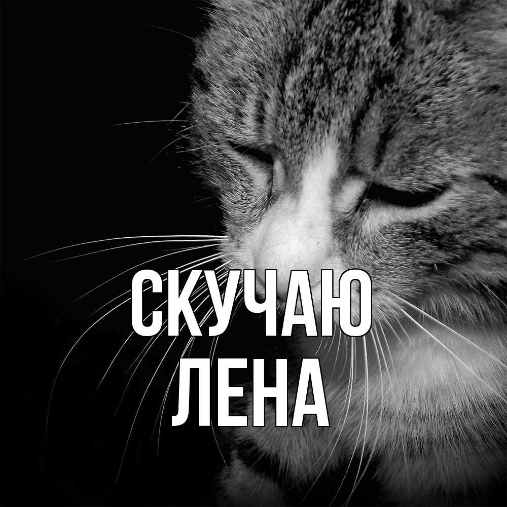 Открытка  с именем. лена, Скучаю  