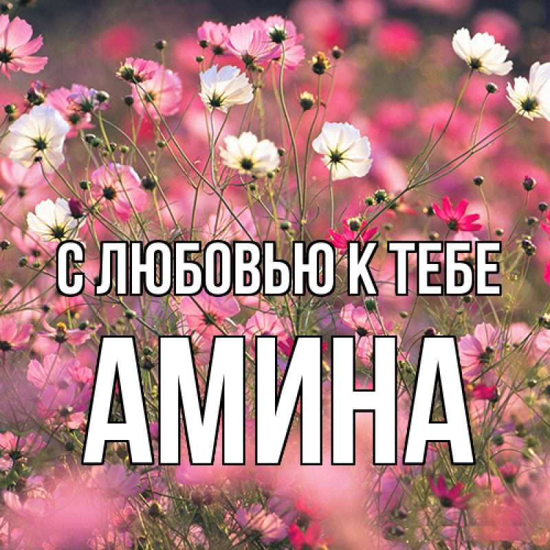 Картинка С любовью к тебе, Амина