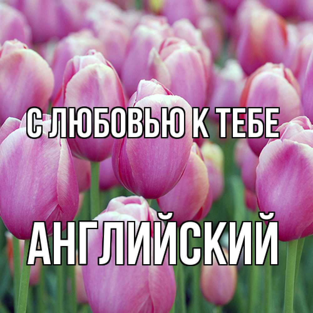 Открытка  с именем. Английский, С любовью к тебе  