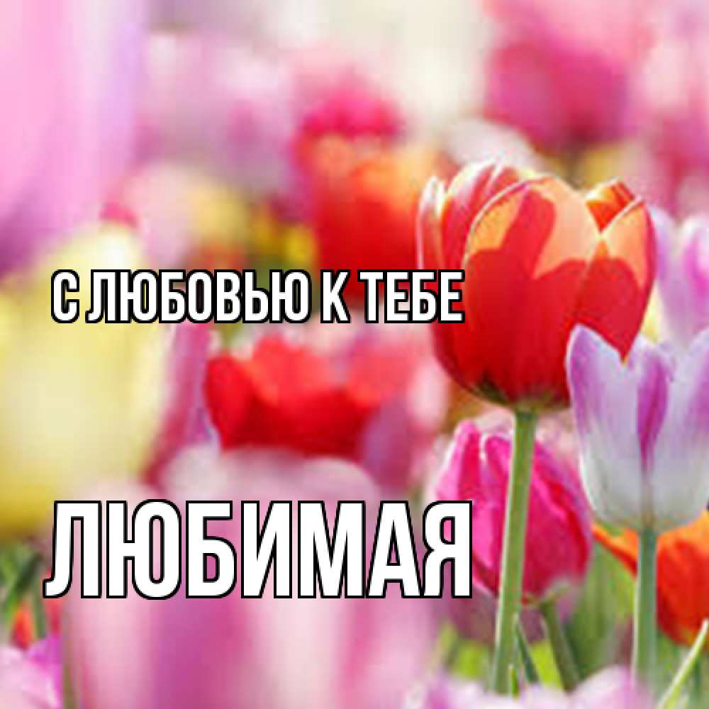 Открытка  с именем. Любимая, С любовью к тебе  