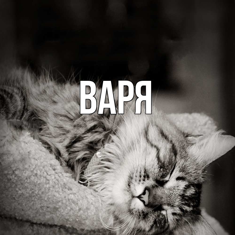 Открытка  с именем. варя, Главная  