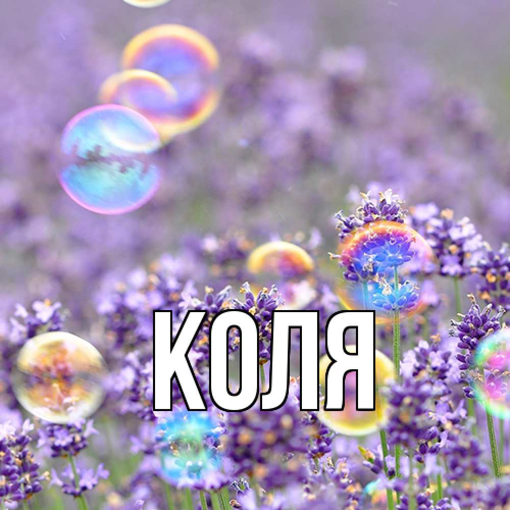 Открытка  с именем. коля, Главная  