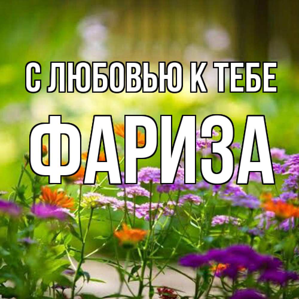 Открытка  с именем. Фариза, С любовью к тебе  