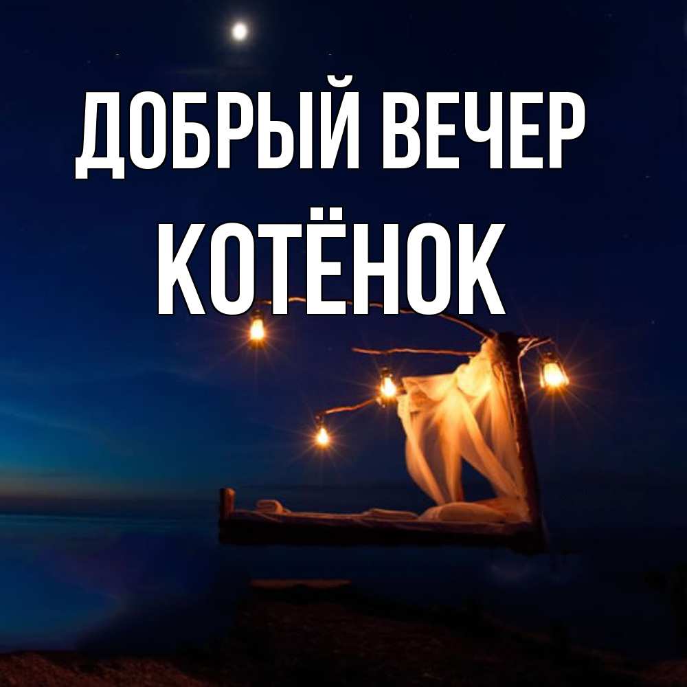 Открытка  с именем. Котёнок, Добрый вечер  