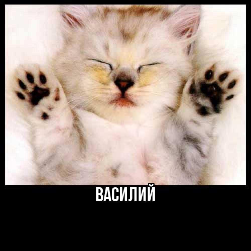 Открытка  с именем. Василий, Главная  