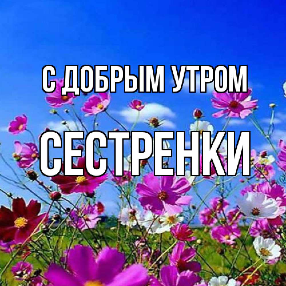 Открытка  с именем. Сестренки, С добрым утром  