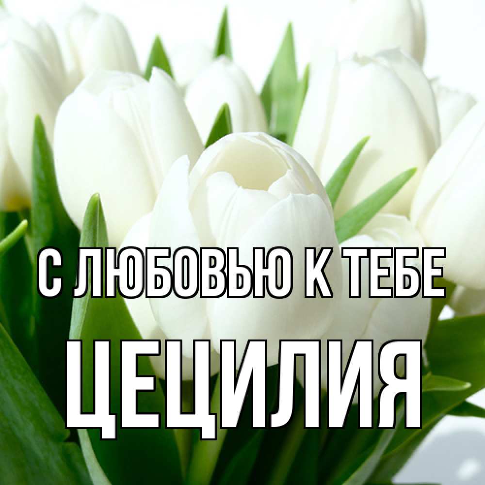 Открытка  с именем. Цецилия, С любовью к тебе  