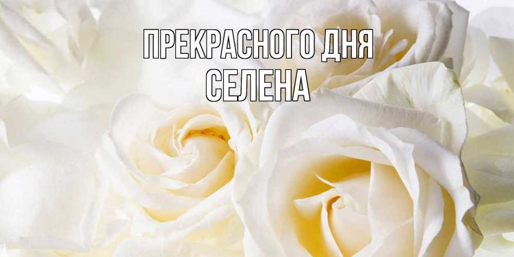Открытка  с именем. Селена, Прекрасного дня  