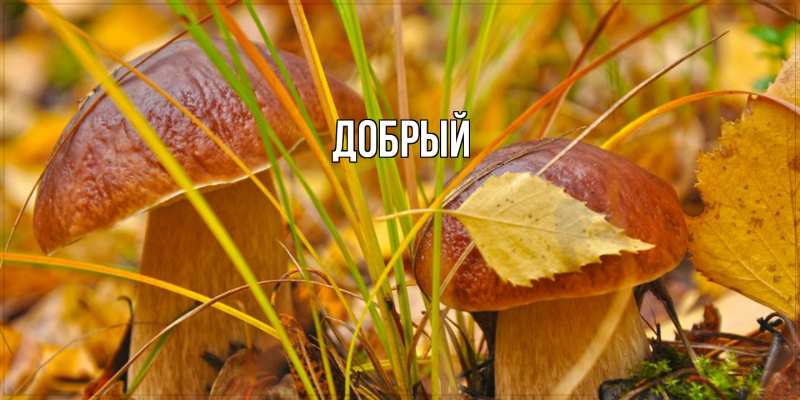 Картинка  с именем , Добрый