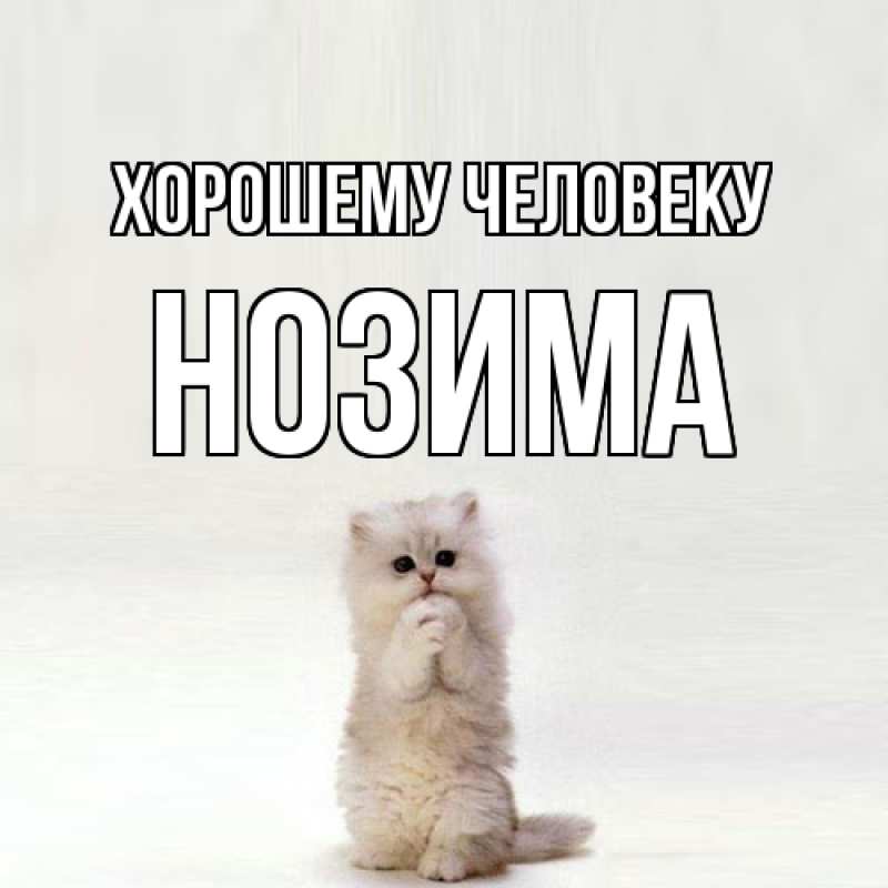 Картинка Хорошему человеку, Нозима