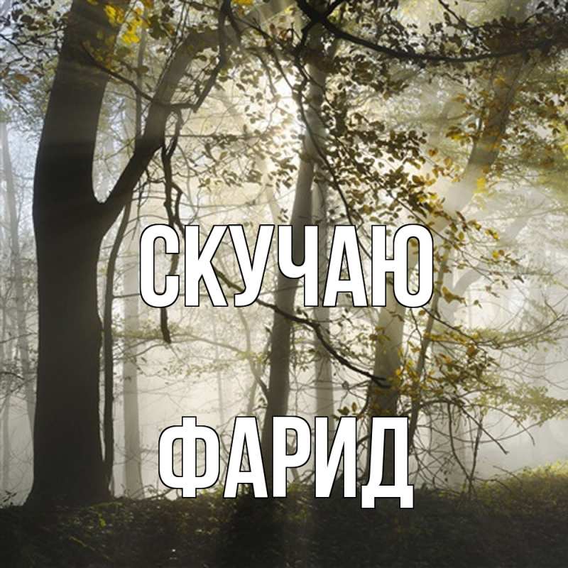 Картинка Скучаю, Фарид