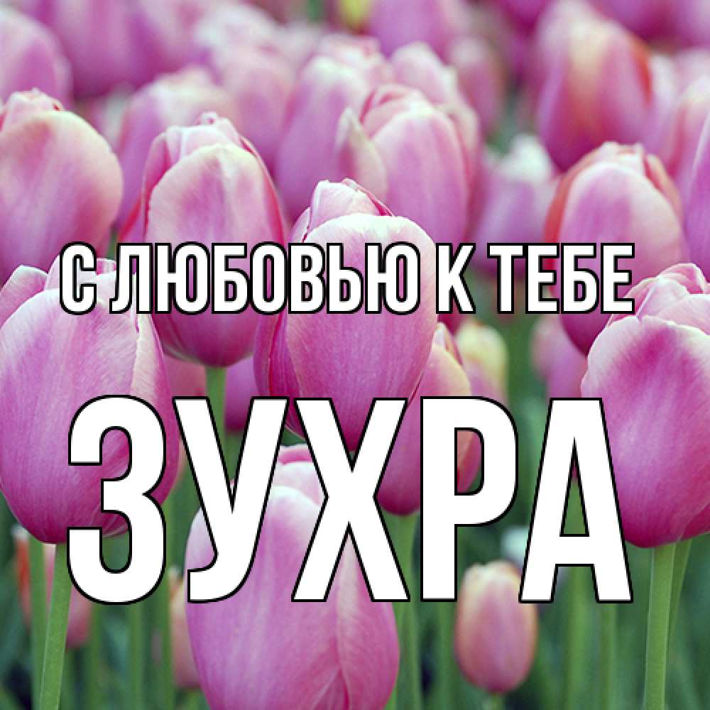 Открытка  с именем. Зухра, С любовью к тебе  