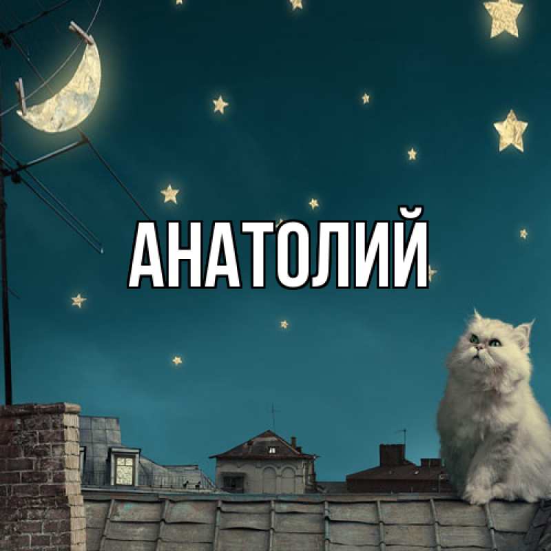 Картинка  с именем , Анатолий