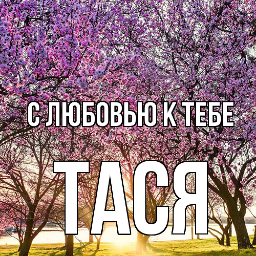 Открытка  с именем. Тася, С любовью к тебе  