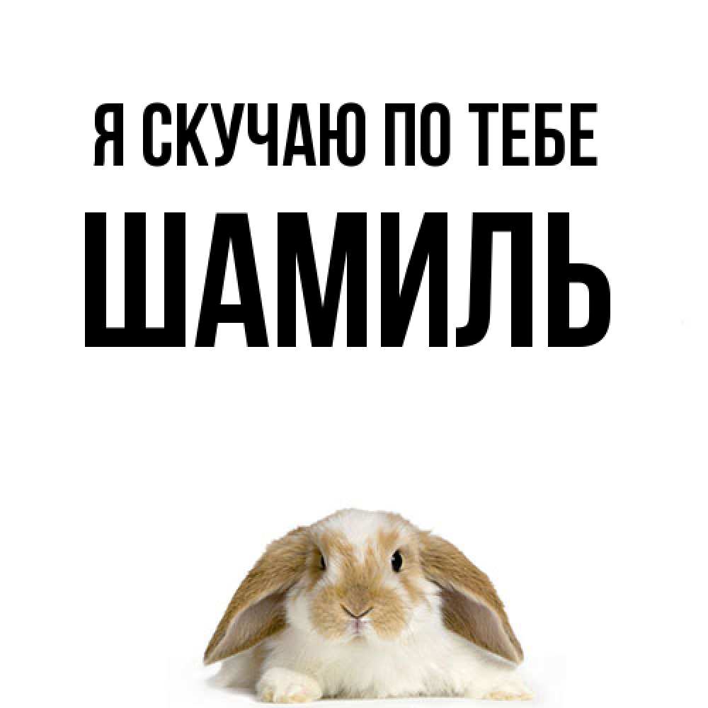 Открытка  с именем. Шамиль, Я скучаю по тебе  