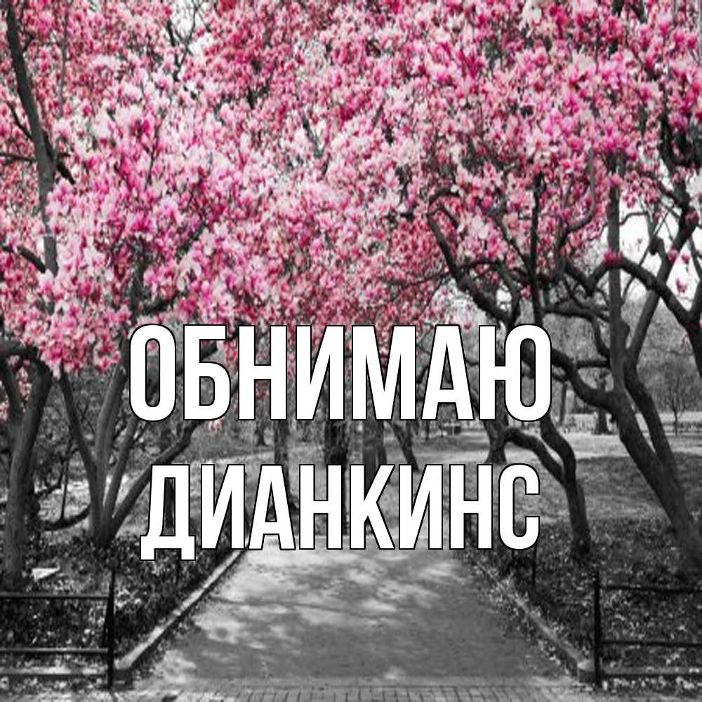 Открытка  с именем. Дианкинс, Обнимаю  