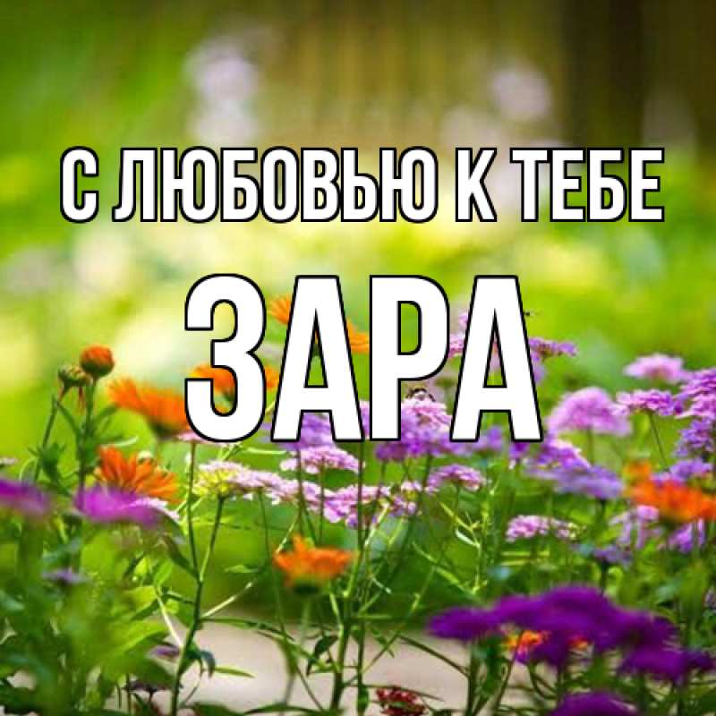 Картинка С любовью к тебе, Зара