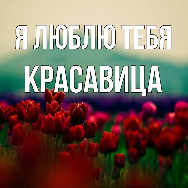 Картинка Я люблю тебя, Красавица