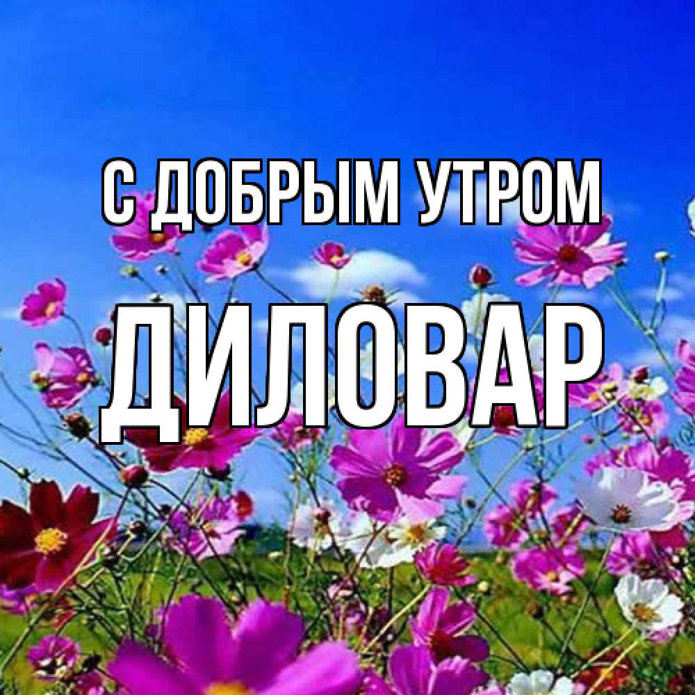 Открытка  с именем. Диловар, С добрым утром  