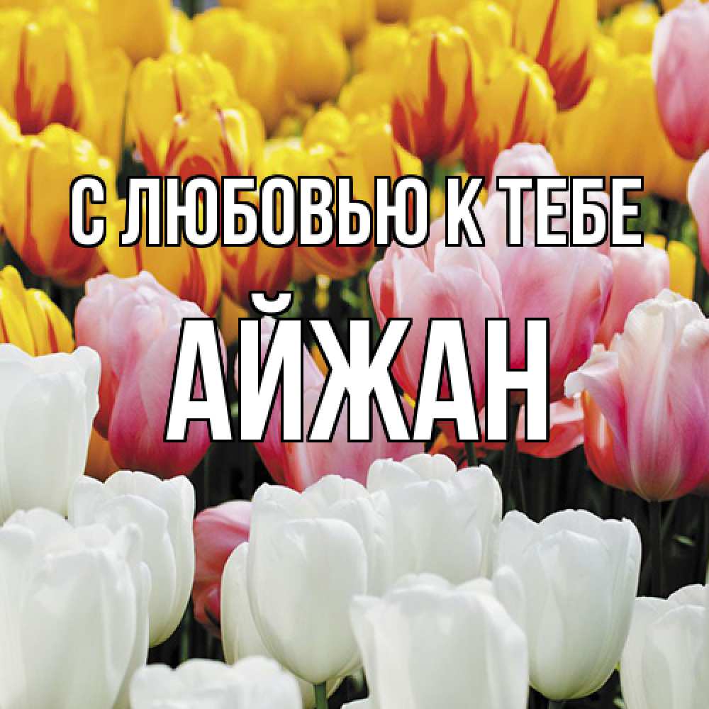 Открытка  с именем. Айжан, С любовью к тебе  