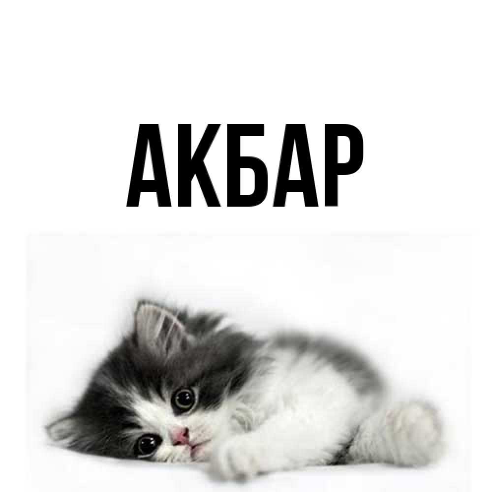 Открытка  с именем. Акбар, Главная  
