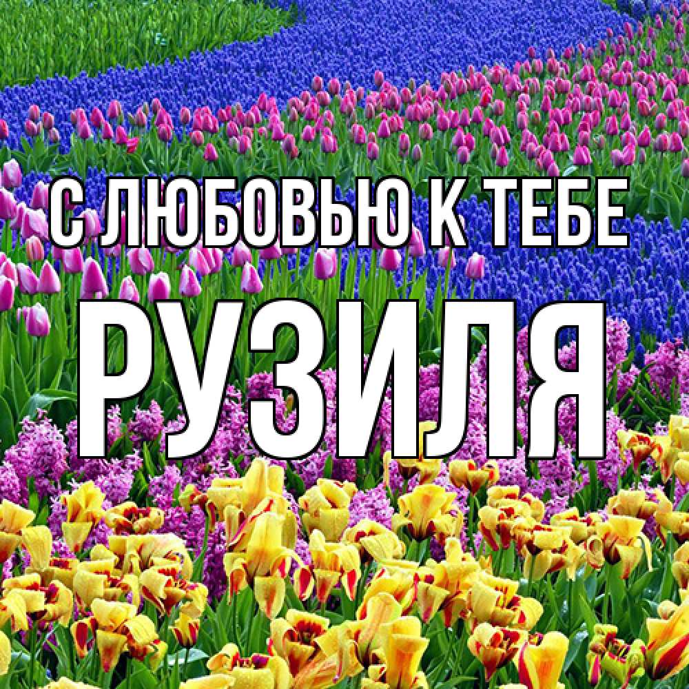 Открытка  с именем. Рузиля, С любовью к тебе  