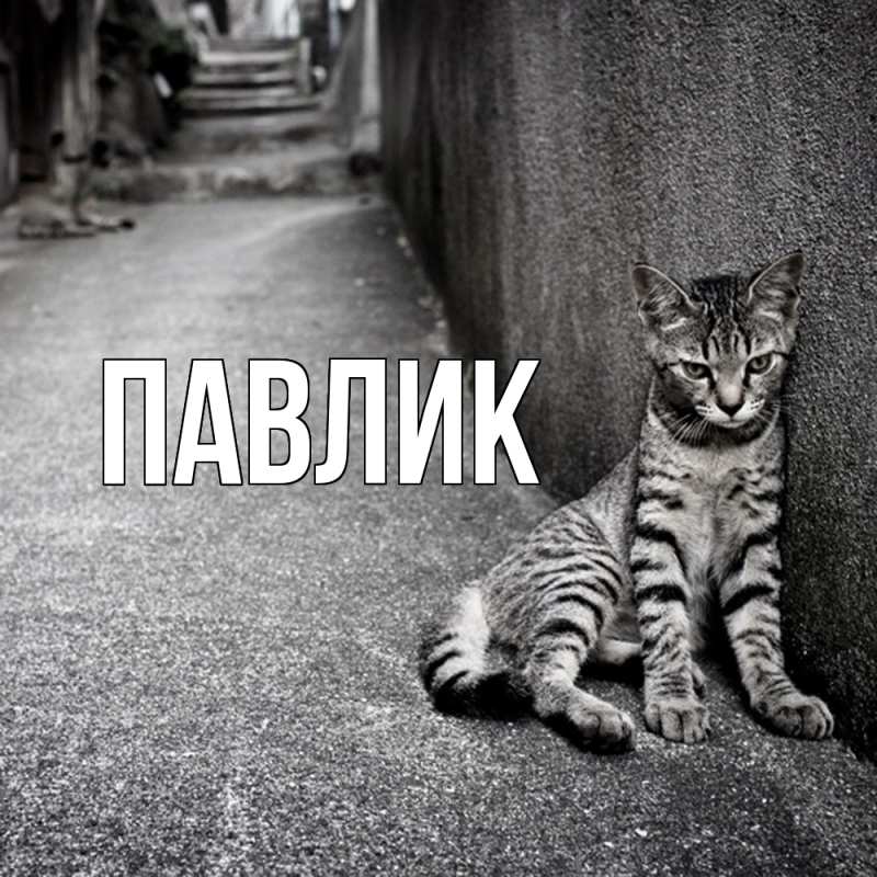 Картинка  с именем , Павлик