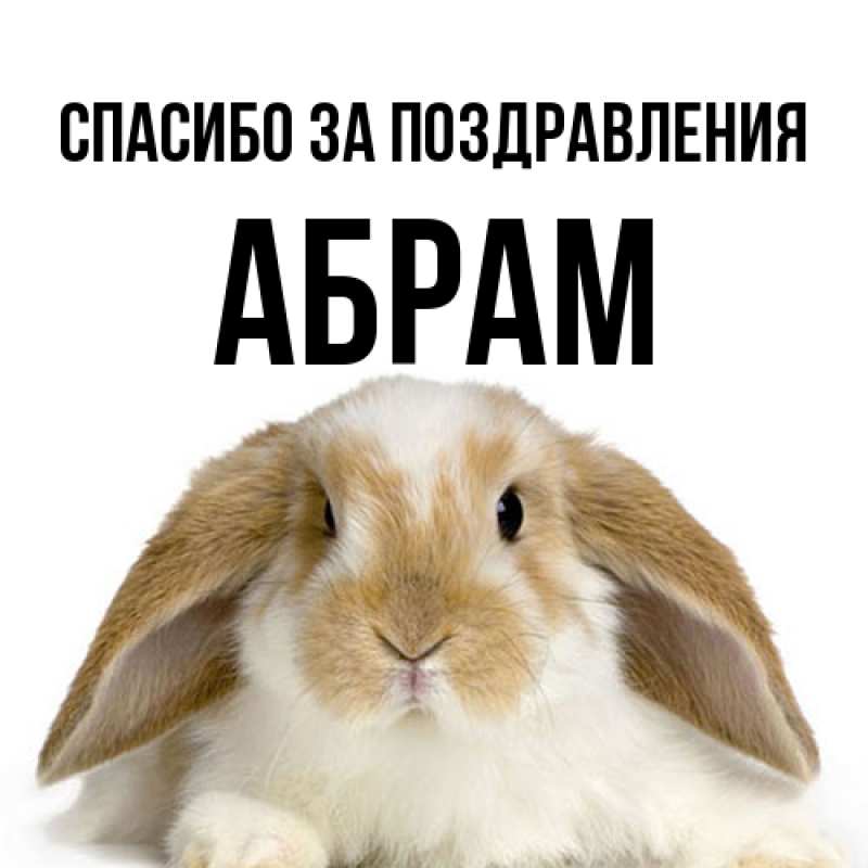Картинка Спасибо за поздравления, Абрам