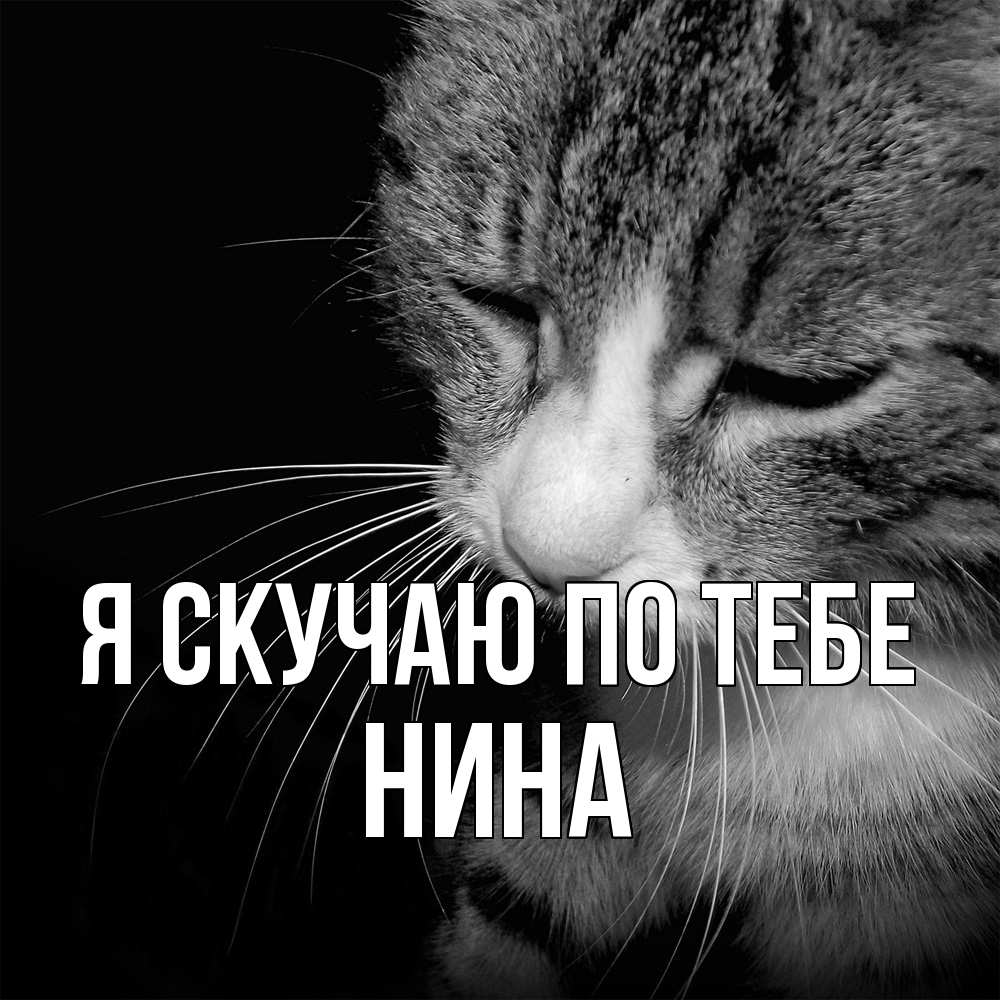 Открытка  с именем. Нина, Я скучаю по тебе  