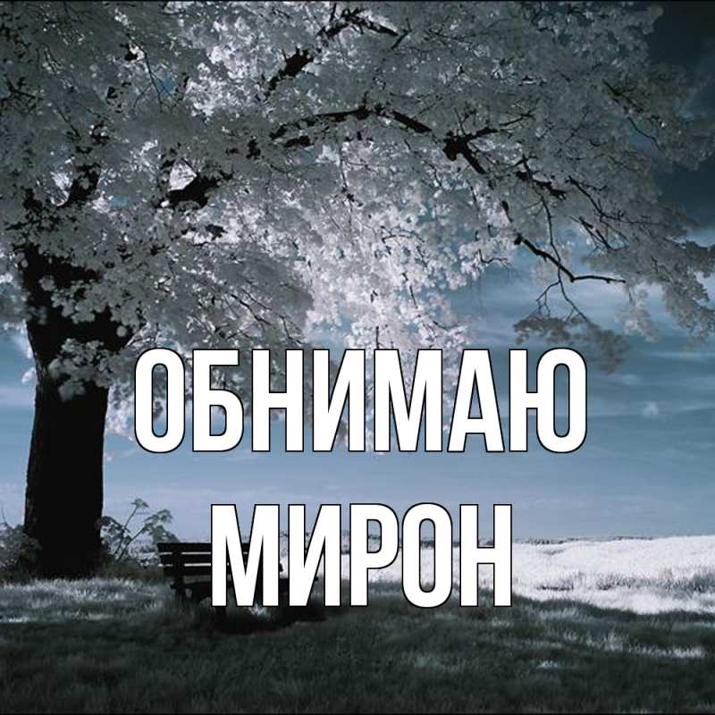 Картинка Обнимаю, Мирон