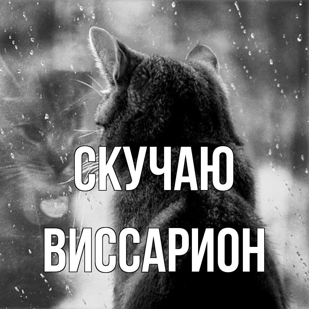 Открытка  с именем. Виссарион, Скучаю  