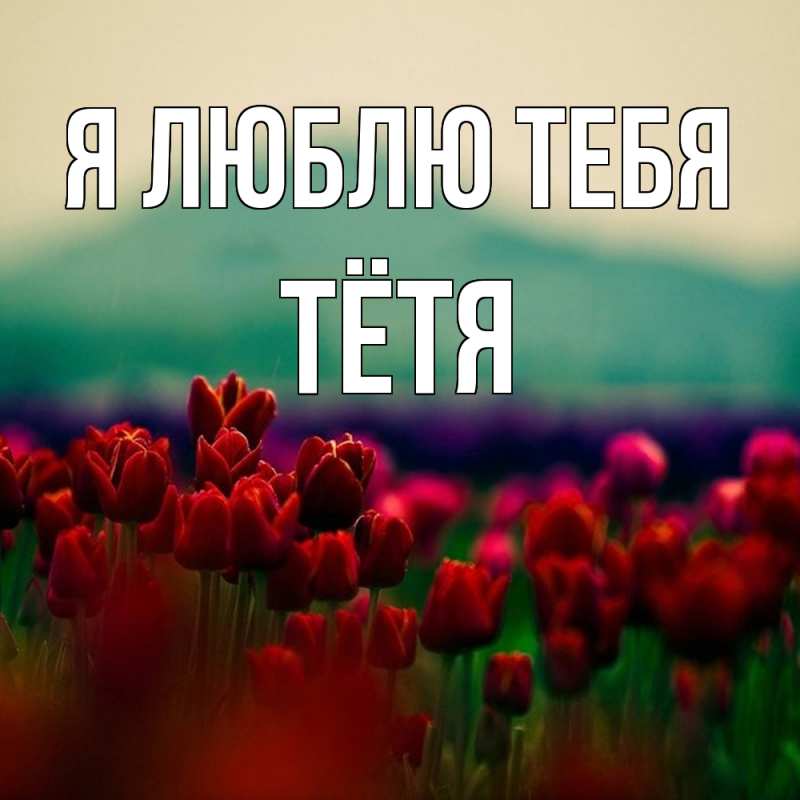 Картинка Я люблю тебя, Тётя